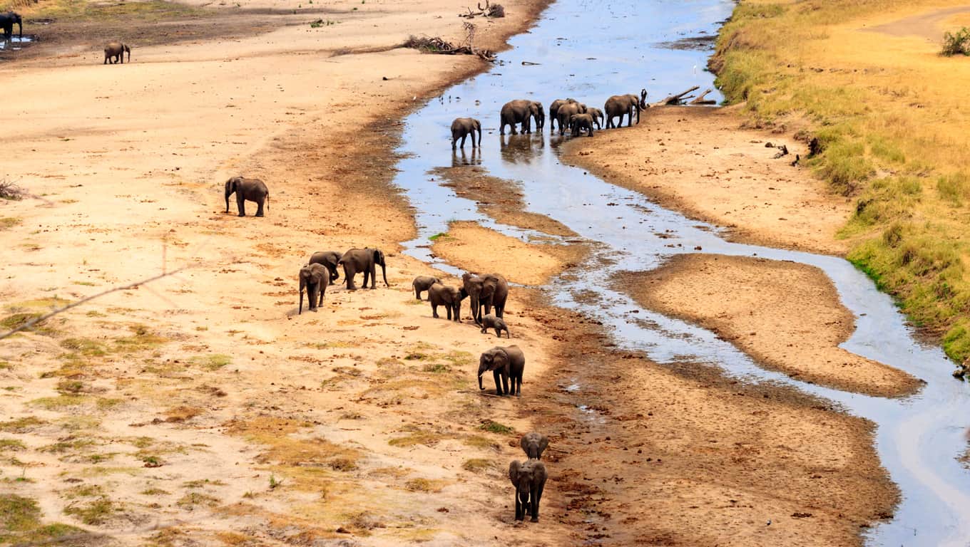 Tarangire National Park, Tanzania